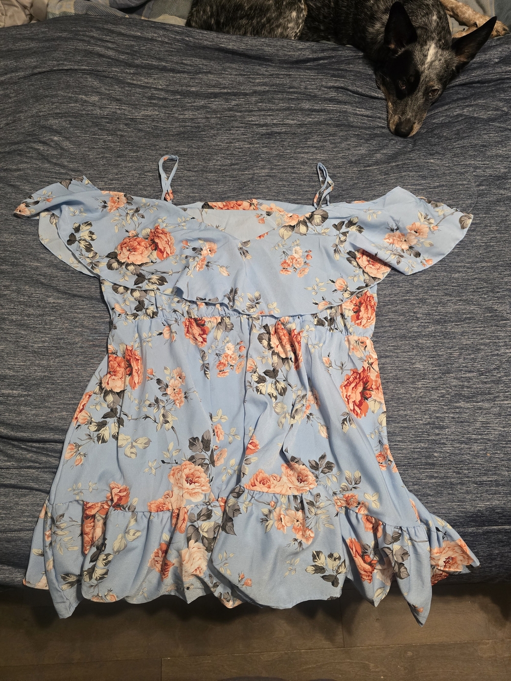 Floral Off-Shoulder Dress - Light Blue with Coral Roses